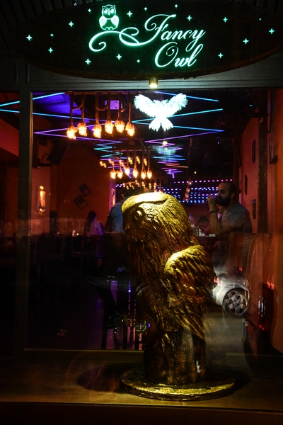 Fancy Owl on Friday night 